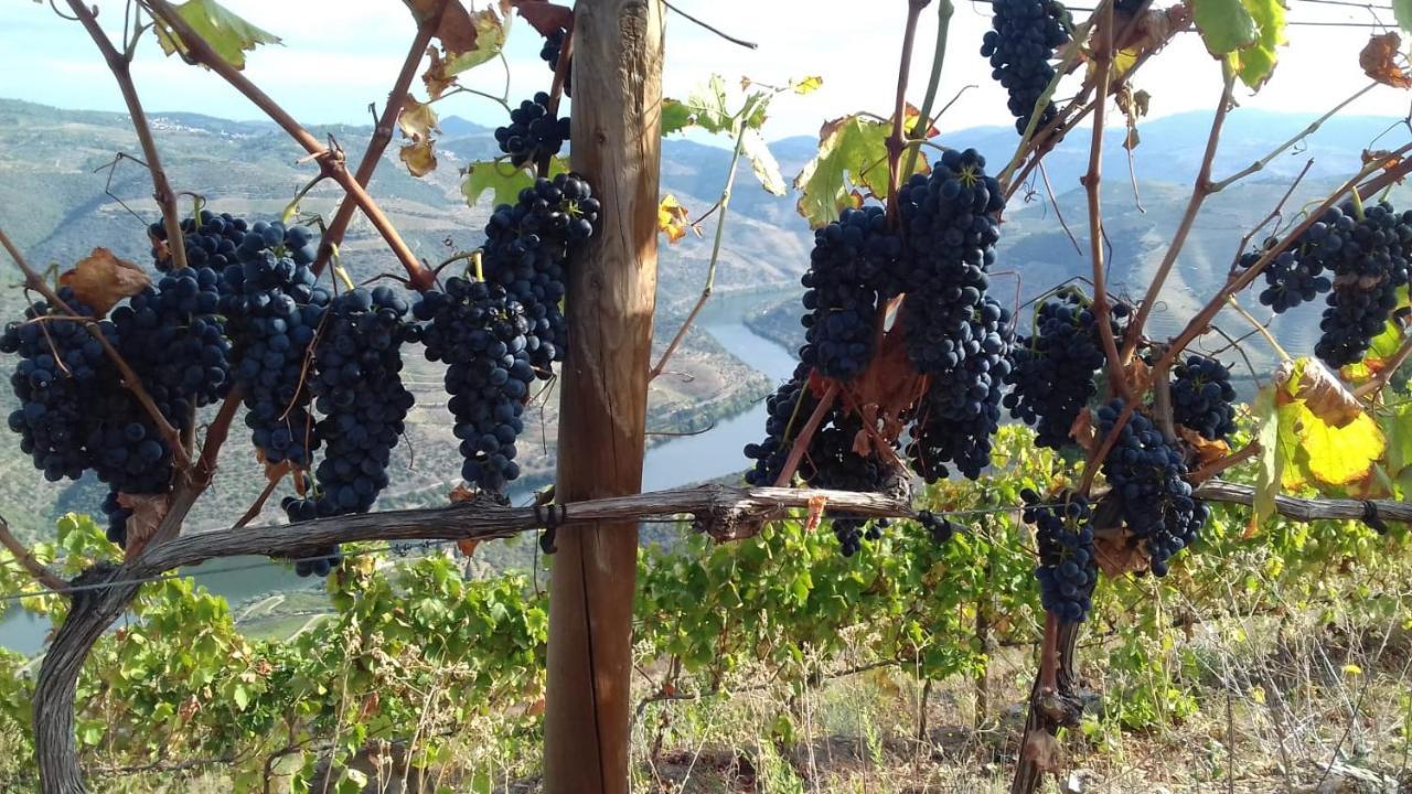 Stay At The Winemaker Ervedosa do Douro Esterno foto