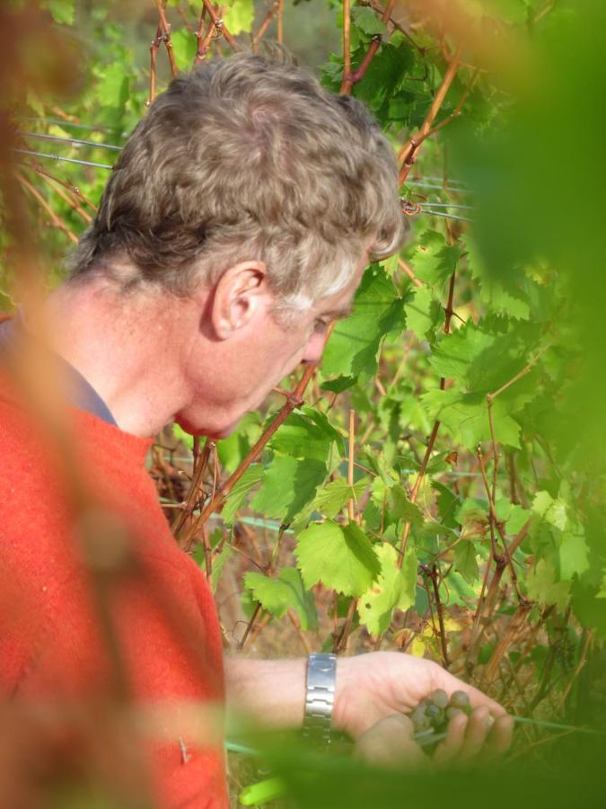 Stay At The Winemaker Ervedosa do Douro Esterno foto