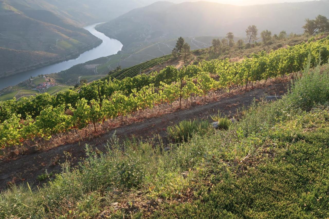 Stay At The Winemaker Ervedosa do Douro Esterno foto