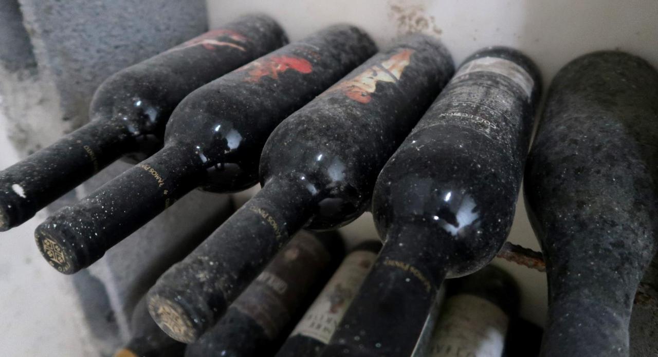 Stay At The Winemaker Ervedosa do Douro Esterno foto