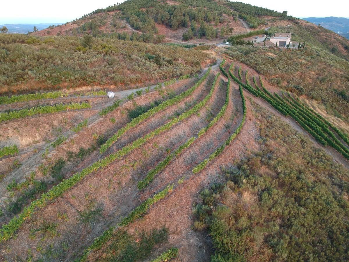 Stay At The Winemaker Ervedosa do Douro Esterno foto