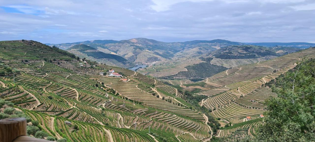 Stay At The Winemaker Ervedosa do Douro Esterno foto