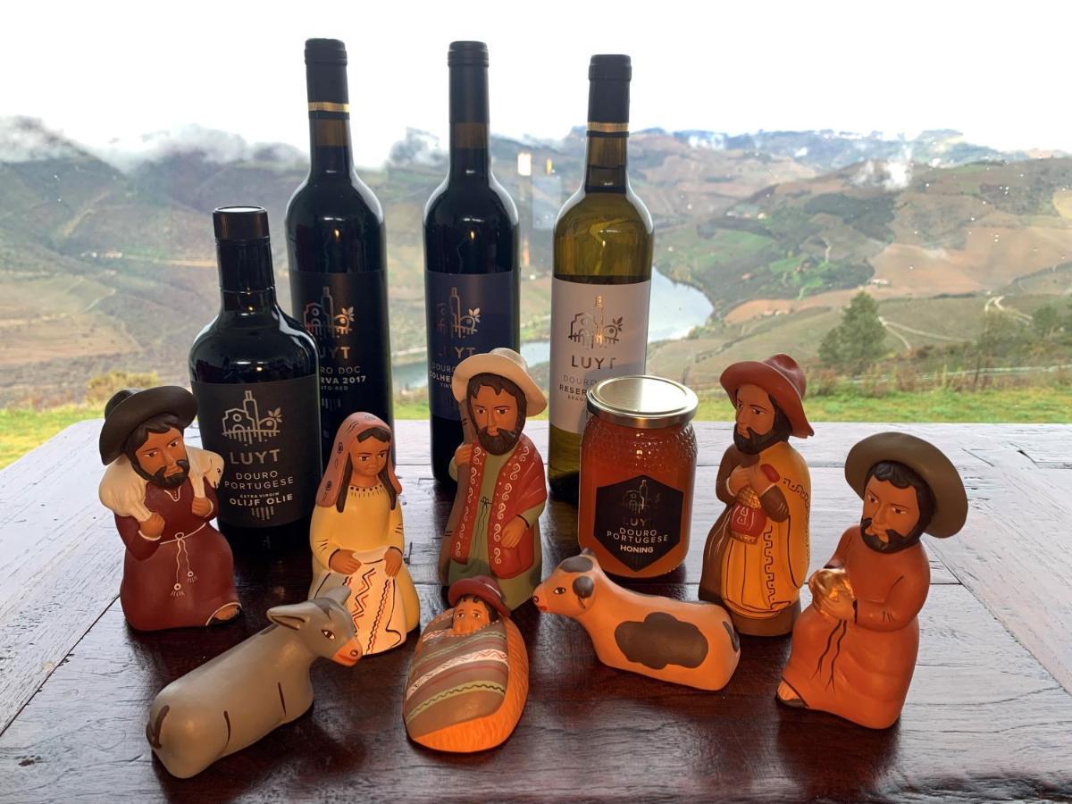 Stay At The Winemaker Ervedosa do Douro Esterno foto