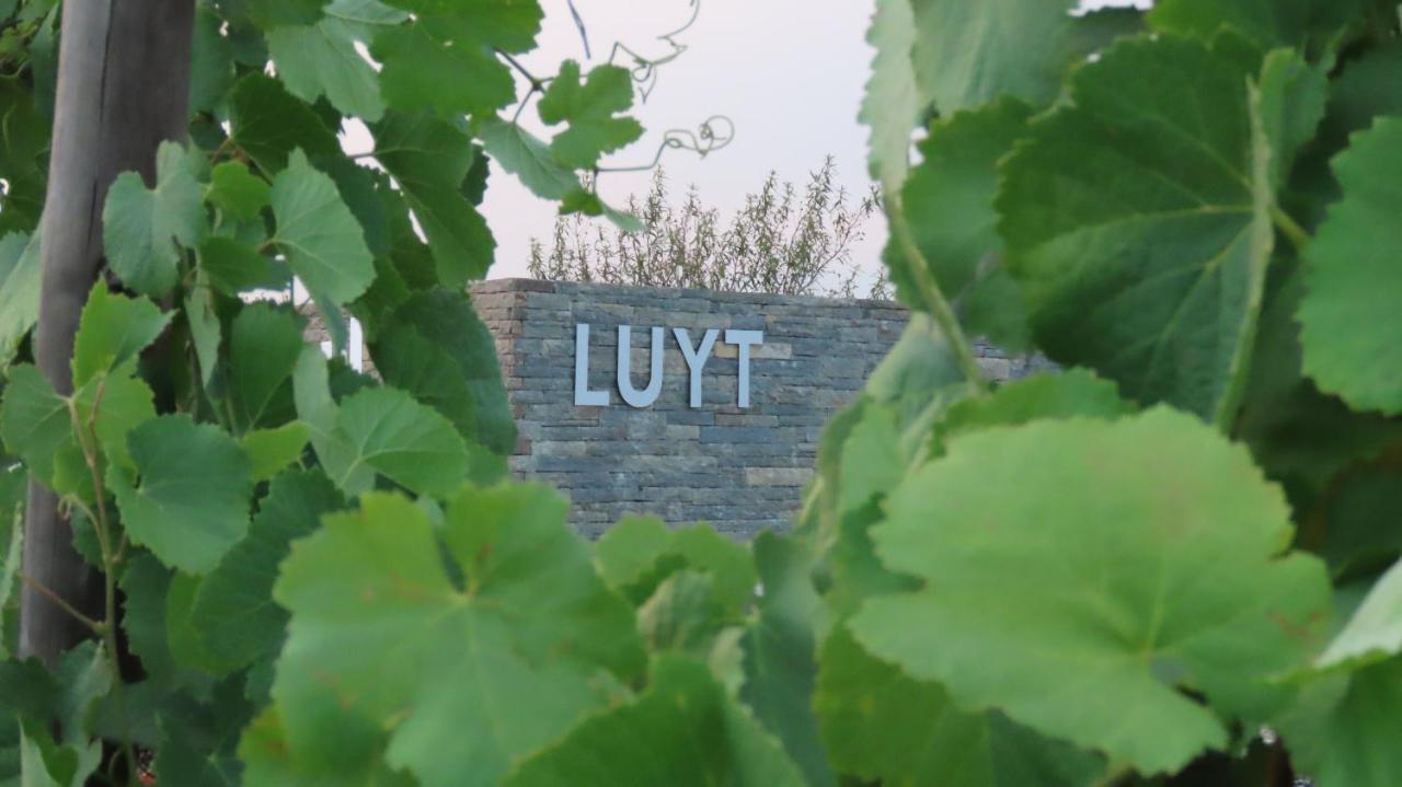Stay At The Winemaker Ervedosa do Douro Esterno foto